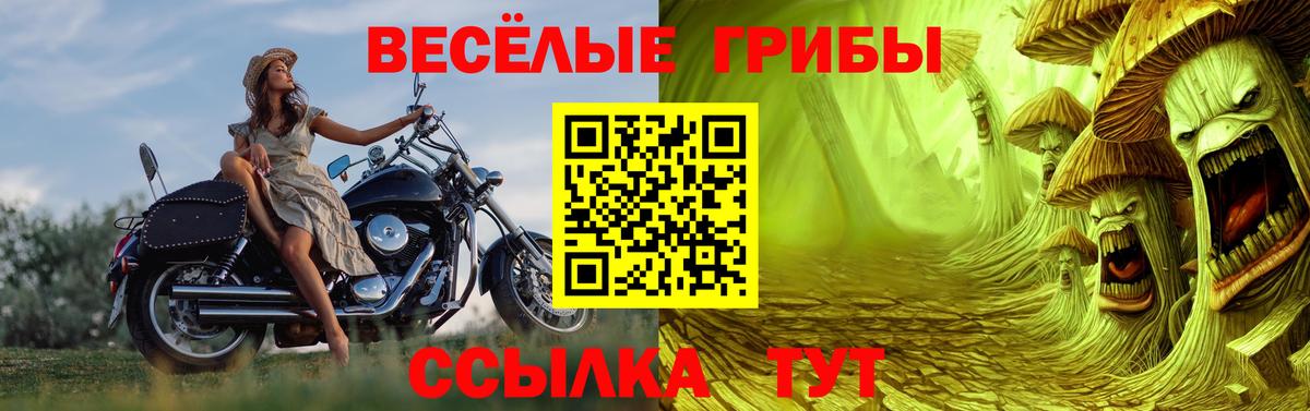 Галлюциногенные грибы Magic Shrooms Калач-на-Дону